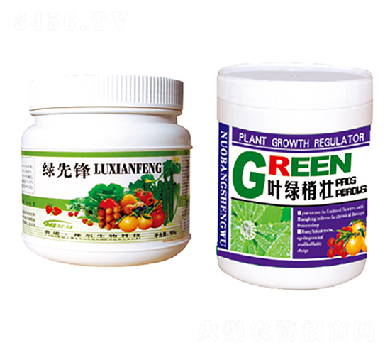 綠先鋒+葉綠梢壯-康普生