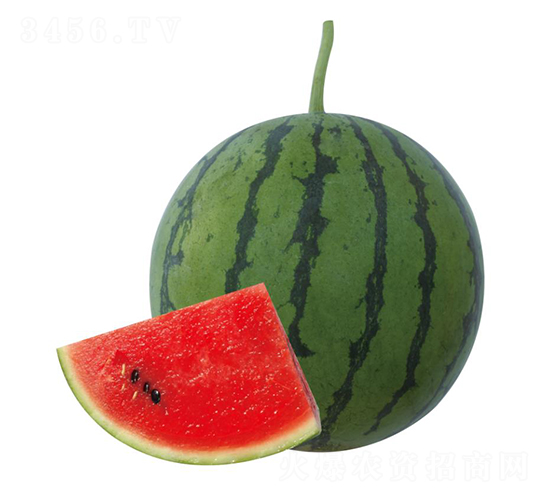 H10̖(ho)-ϷN-ľN