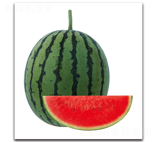 H3̖(ho)-ϷN-ľN