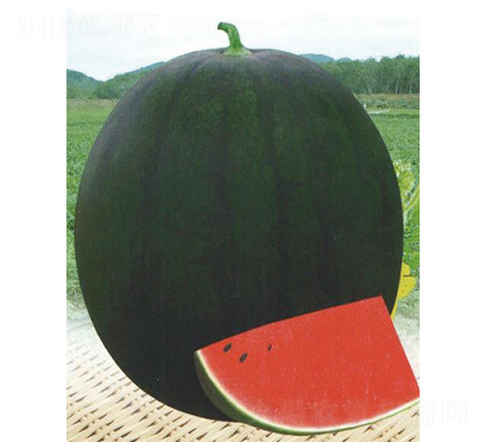 ̖-ϷN-