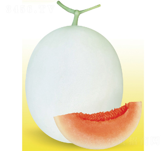 ״һ̖(ho)-ϷN-