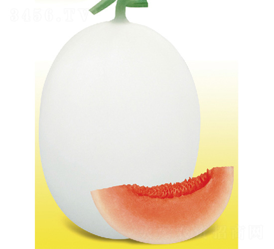 ״̖-ϷN-