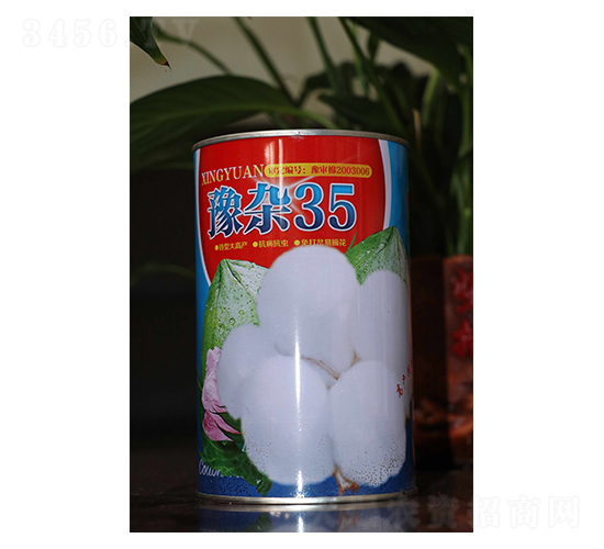 ԥs35-޻N-ԴrI(y)