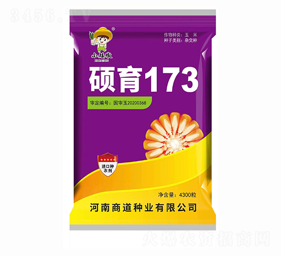 碩育173【4300?！?玉米種子-商道種業(yè)