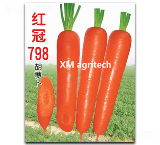 t798-}N-rrI(y)