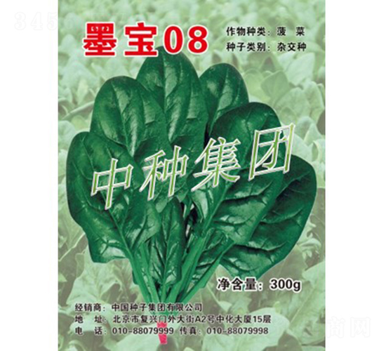墨寶08-菠菜種子-中種集團(tuán)