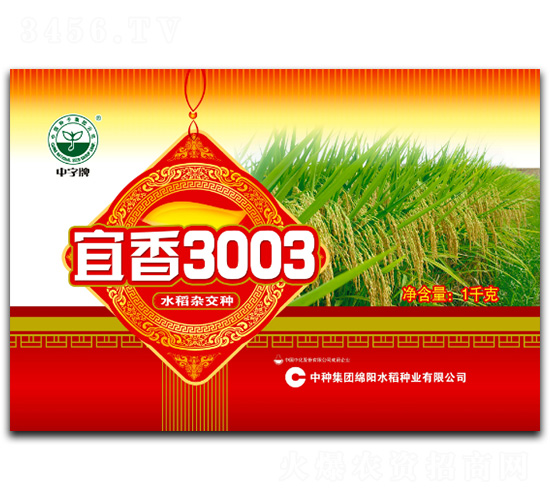 3003-ˮN-зNF