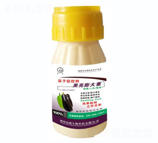 Ӻ-(bio)
