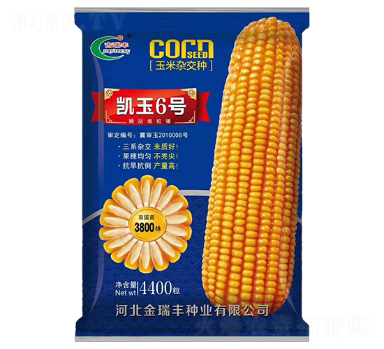 P6̖(ho)-׷N-SNI(y)
