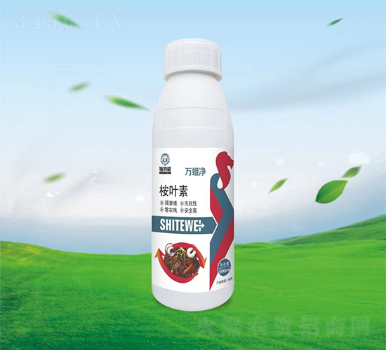 500ml~-f(wn)-ʩ
