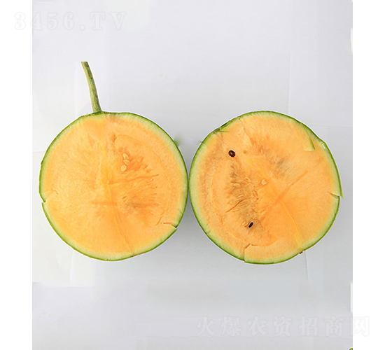 rƷ2̖-ϷN-rrI(y)