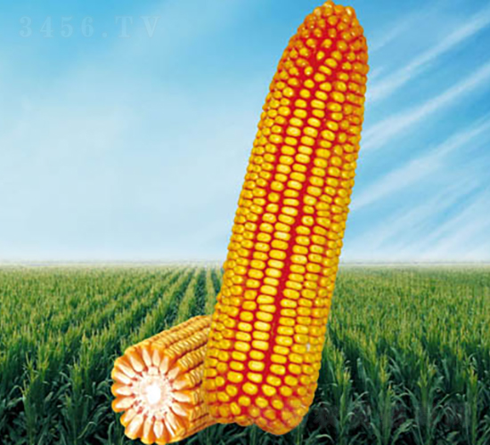 2̖(ho)-׷N-NI(y)