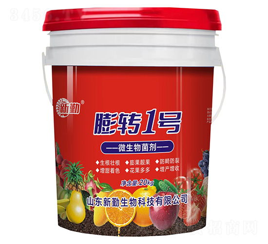 D(zhun)1̖΢-
