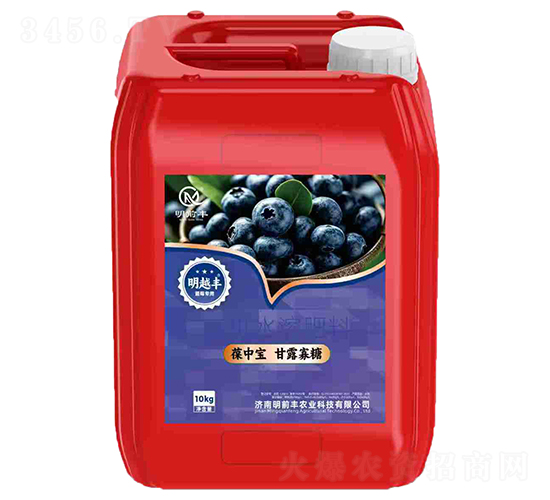 Ќ¶ǣ{ݮã-ԽS-ǰS