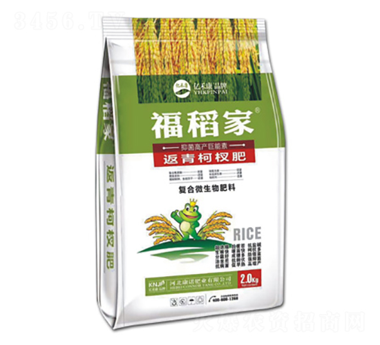 辷--ZʘI(y)