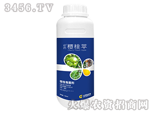 500ml΢-ˎO-ý