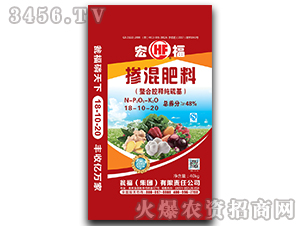 ߝȓ18-10-20-긣-YF(tun)