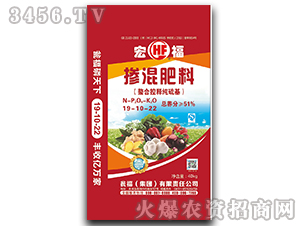 ߝȓ19-10-22-긣-YF(tun)