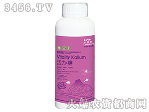 (200ml1000ml)-(l)˹-Θ(l)ʘI(y)