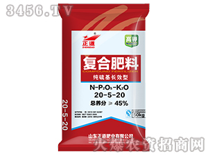 45%LЧ͏(f)Ϸ20-5-20--