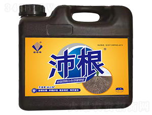 5LֲᏊ(qing)I(yng)B(yng)Һ--Sr(nng)I(y)