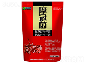 ΢-Ħھ-(qing)о(gu)H