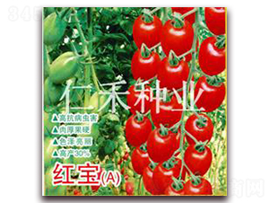 tA-ҷѷN-ʺ̷NI(y)