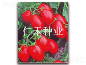 tB-ҷѷN-ʺ̷NI(y)