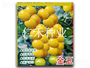 -ҷѷN-ʺ̷NI(y)