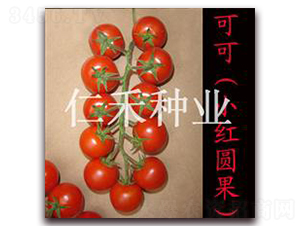 ɿɣСtA-ҷѷN-ʺ̷NI(y)