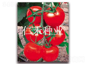 -tѷN-ʺ̷NI(y)