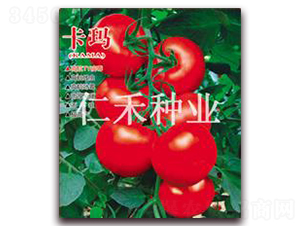 -tѷN-ʺ̷NI(y)