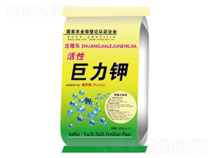 Ծ-fژ(l)-ػ