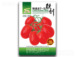 x87-5-ѷN-(lin)(chung)