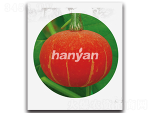 ht\(yn)-ϹϷN-h