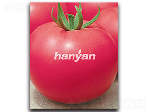 h̖-ѷN-h