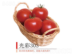 303-ѷN-r(nng)I(y)