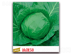 n50-{N-