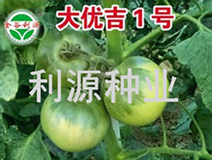 (yu)1̖-ѷN-ԴNI(y)