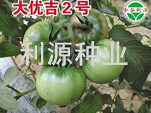 (yu)2̖-ѷN-ԴNI(y)