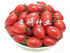 2̖(ho)-ѷN-