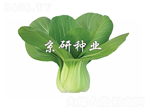 (gu)2̖(ho)-Сײ˷N-