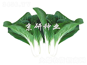 к~5̖(ho)-Сײ˷N-
