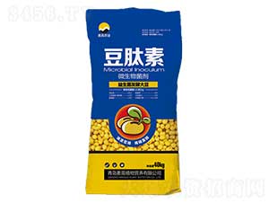 40kg΢-r(nng)I(y)