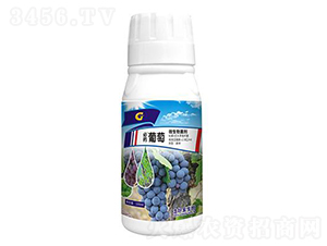 100ml΢-ˎ-ý