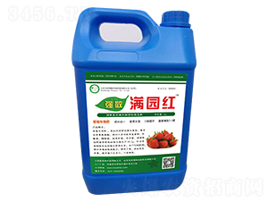 M@t-(qing)-