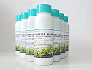 Сסˮ΢IB(yng)ҺҺ-