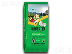 [⌣(zhun)÷-r(nng)-