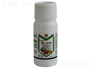 51.9%˪ù˪Һ-Lpx-Lpr(nng)ˎ
