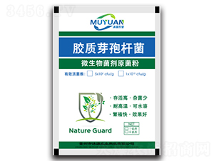 膠質(zhì)芽孢桿菌-沐源農(nóng)業(yè)